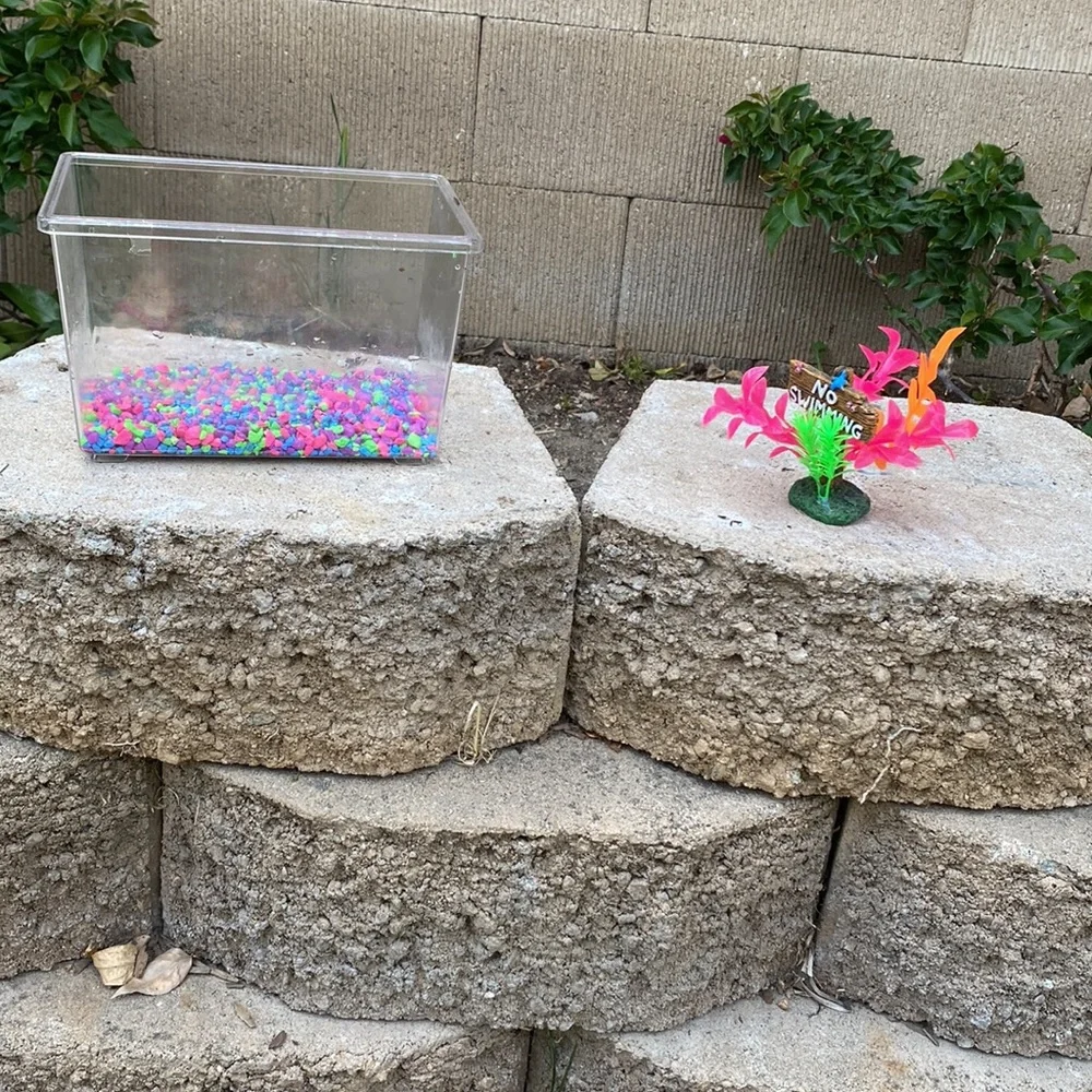 Fish tank with cooler rocks and a sign